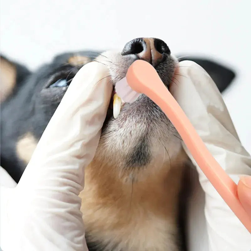 Soft Dog Toothbrush for Grooming and Oral Care – Gentle Pet Dental Brush