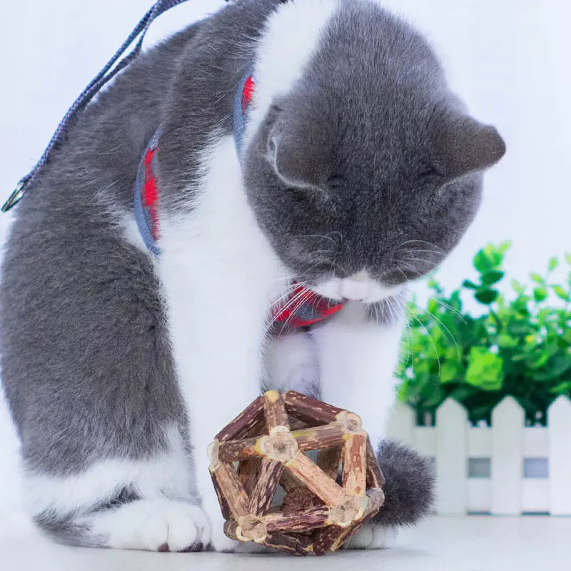 Cat Toy Set with Catnip & Polygonum Dental Chew Balls – Natural Teeth Cleaning 8cm