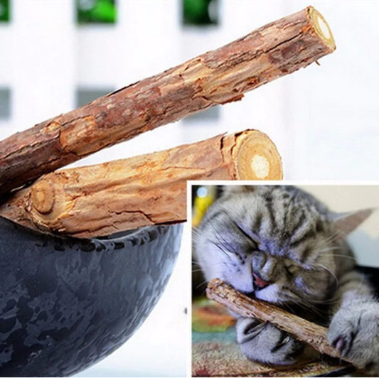 Natural Cat Chew Sticks with Fruit Flavor – 100% Polygonum Dental Toy 5-Pack 100mm