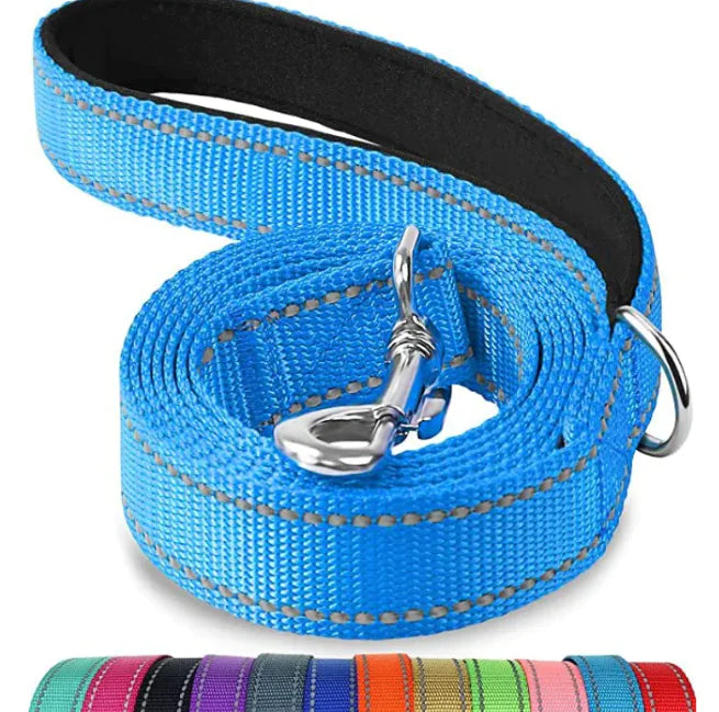 Pet Hand Holding Rope – Durable Polyester Chain Ring Leash for Walking & Training