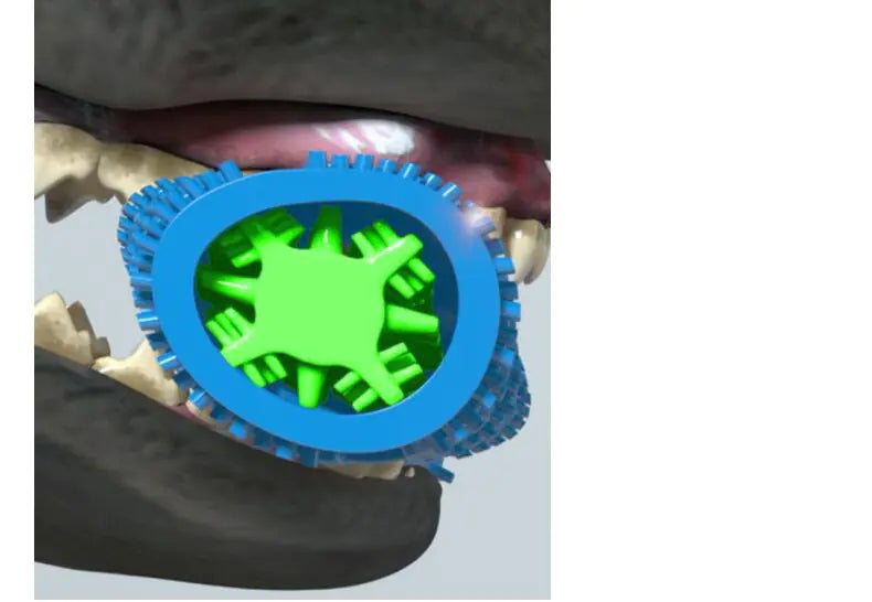 Pet Tooth Cleaning Chew Toy – TPR Rubber Toothbrush for Dogs & Cats