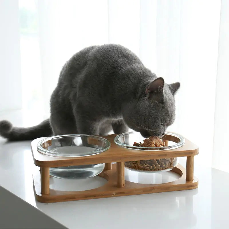 Glass Pet Bowl with Neck Support – Elevated Double Diner for Cats & Dogs (480ml/800ml)