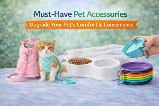 New Pet Parent Essentials