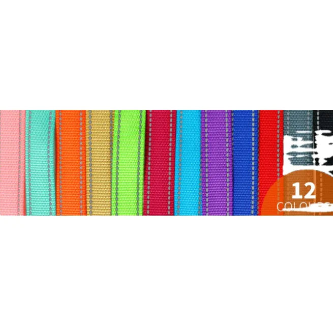 Pet Hand Holding Rope – Durable Polyester Chain Ring Leash for Walking & Training