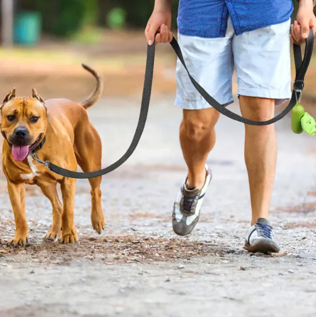 Pet Hand Holding Rope – Durable Polyester Chain Ring Leash for Walking & Training
